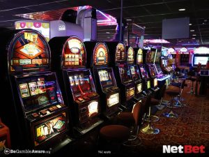 pk55|Vale a pena bingo online para brasileiros Aposte Online